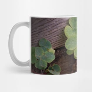 Lucky or Determined? Saint Patricks Day Shamrocks Mug